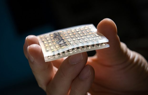 Wearable Plant Sensors