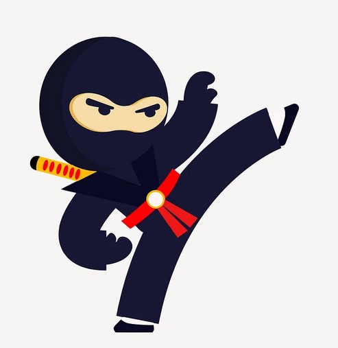 From Novice to Ninja